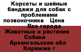 Корсеты и шейные бандажи для собак с проблемами позвоночника › Цена ­ 2 500 - Все города Животные и растения » Собаки   . Архангельская обл.,Коряжма г.